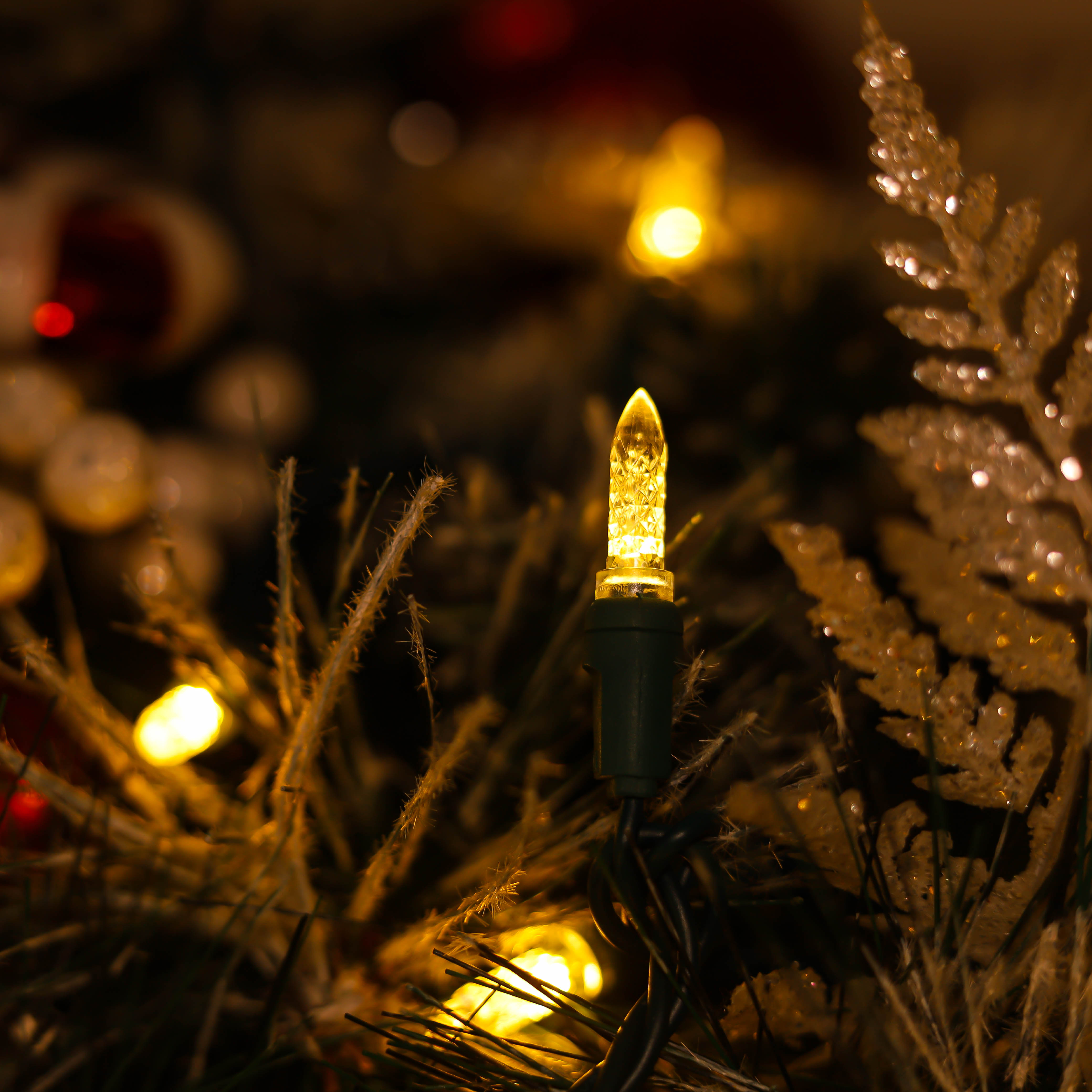 أضواء عيد الميلاد LED M5 LED باللون الأبيض الدافئ من UL