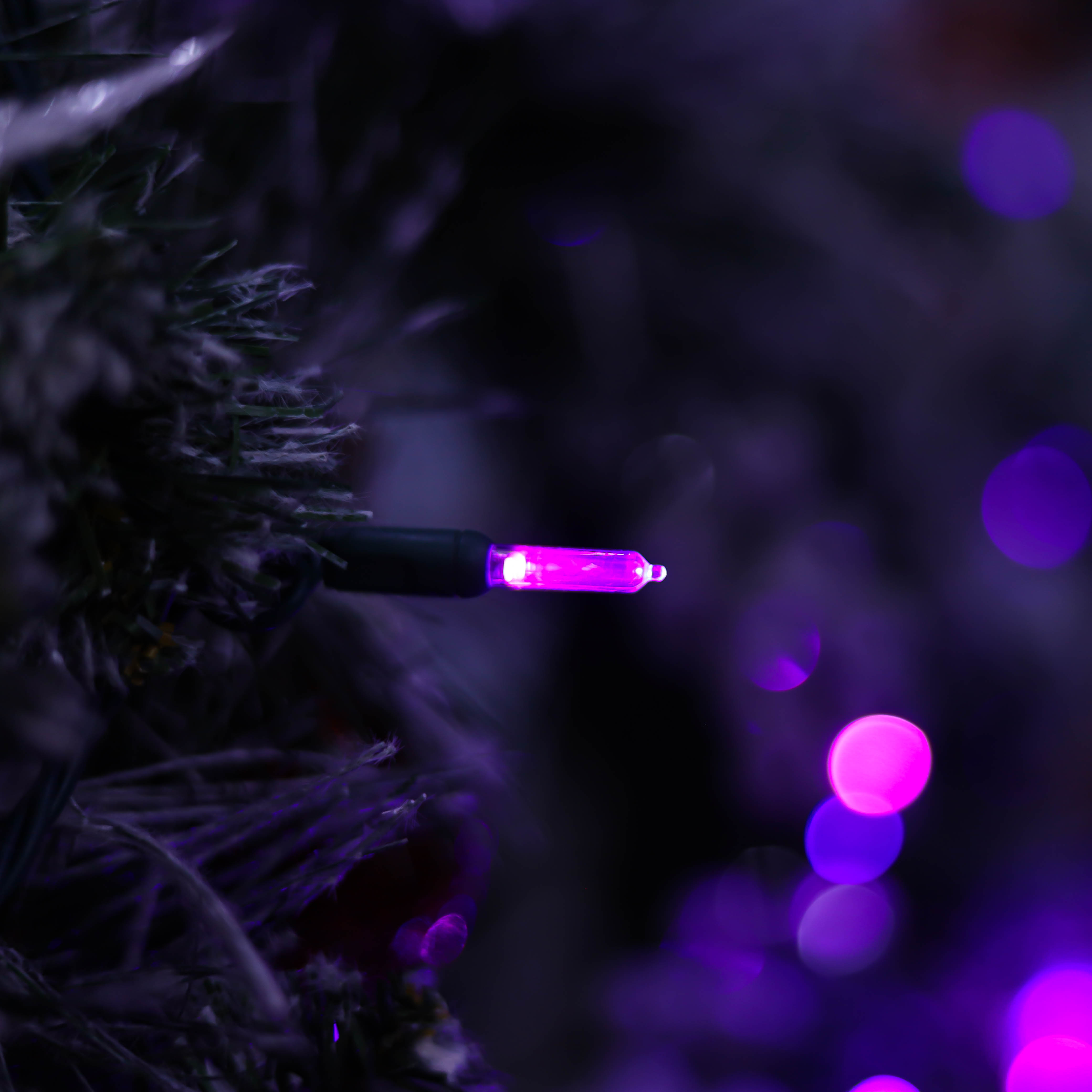 UL T5 سلسلة أضواء LED ضوء عيد الميلاد الأرجواني ضوء الهالوين