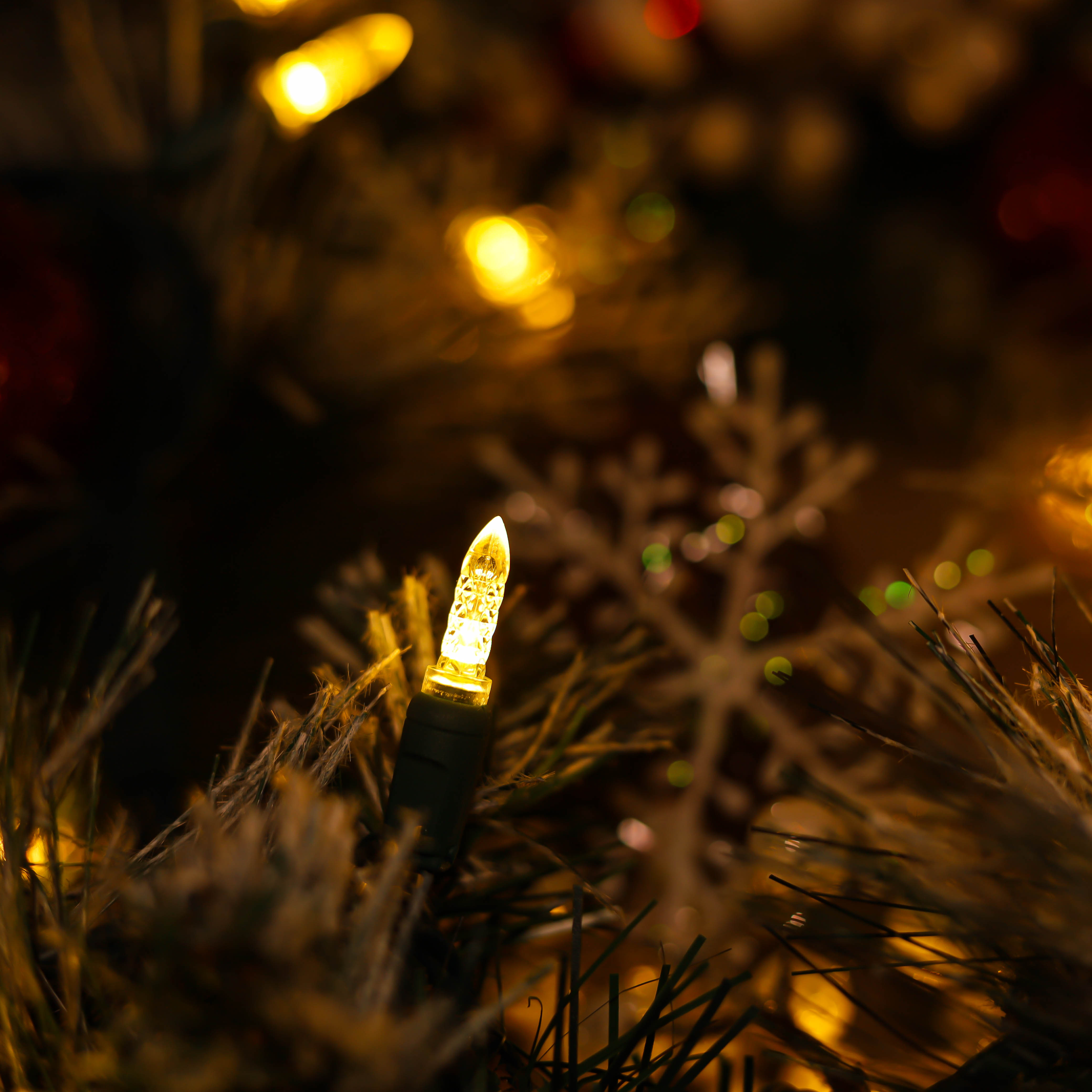 أضواء عيد الميلاد LED M5 LED باللون الأبيض الدافئ من UL