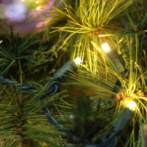 5MM Wide Angle Mini LED String Lights Warm White UL Christmas Light String Outdoor Use .png